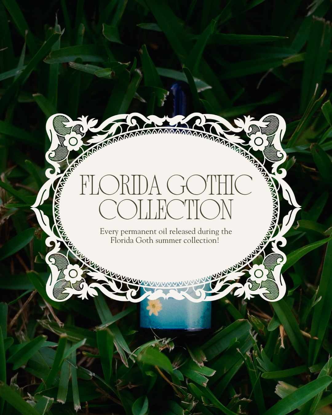 Florida Gothic Collection