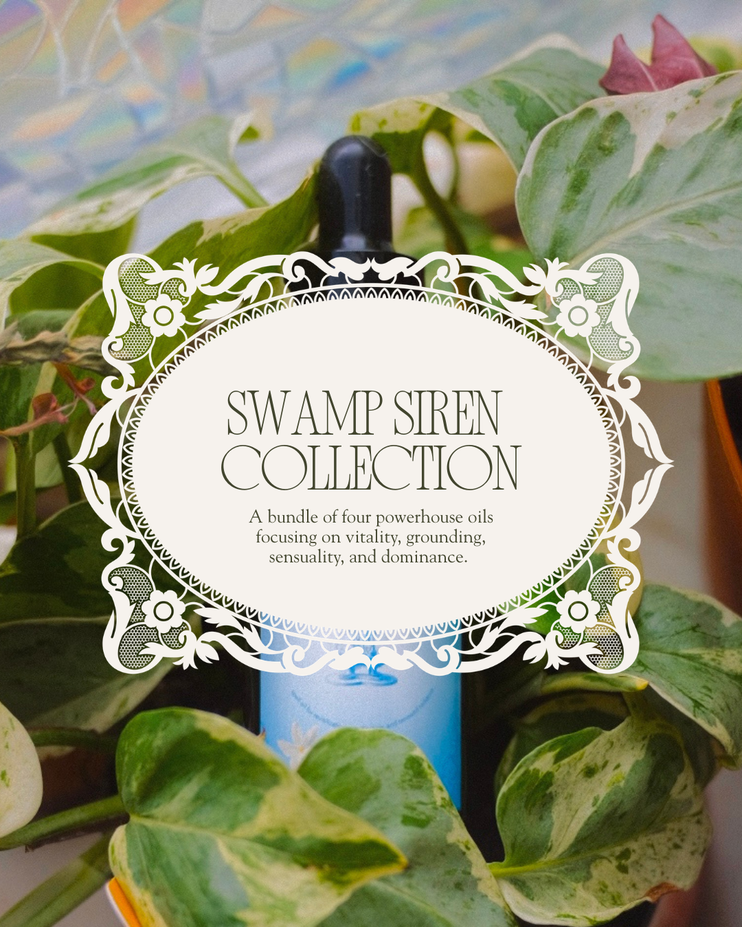 Swamp Siren Collection