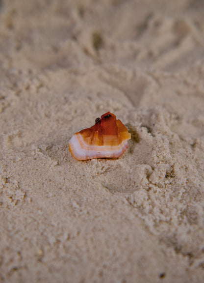 Raw Carnelian Crystal