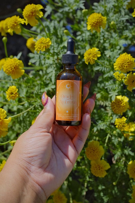 *Limited Time* 'Oracle's Ambrosia' Abundance 2oz Spell Oil