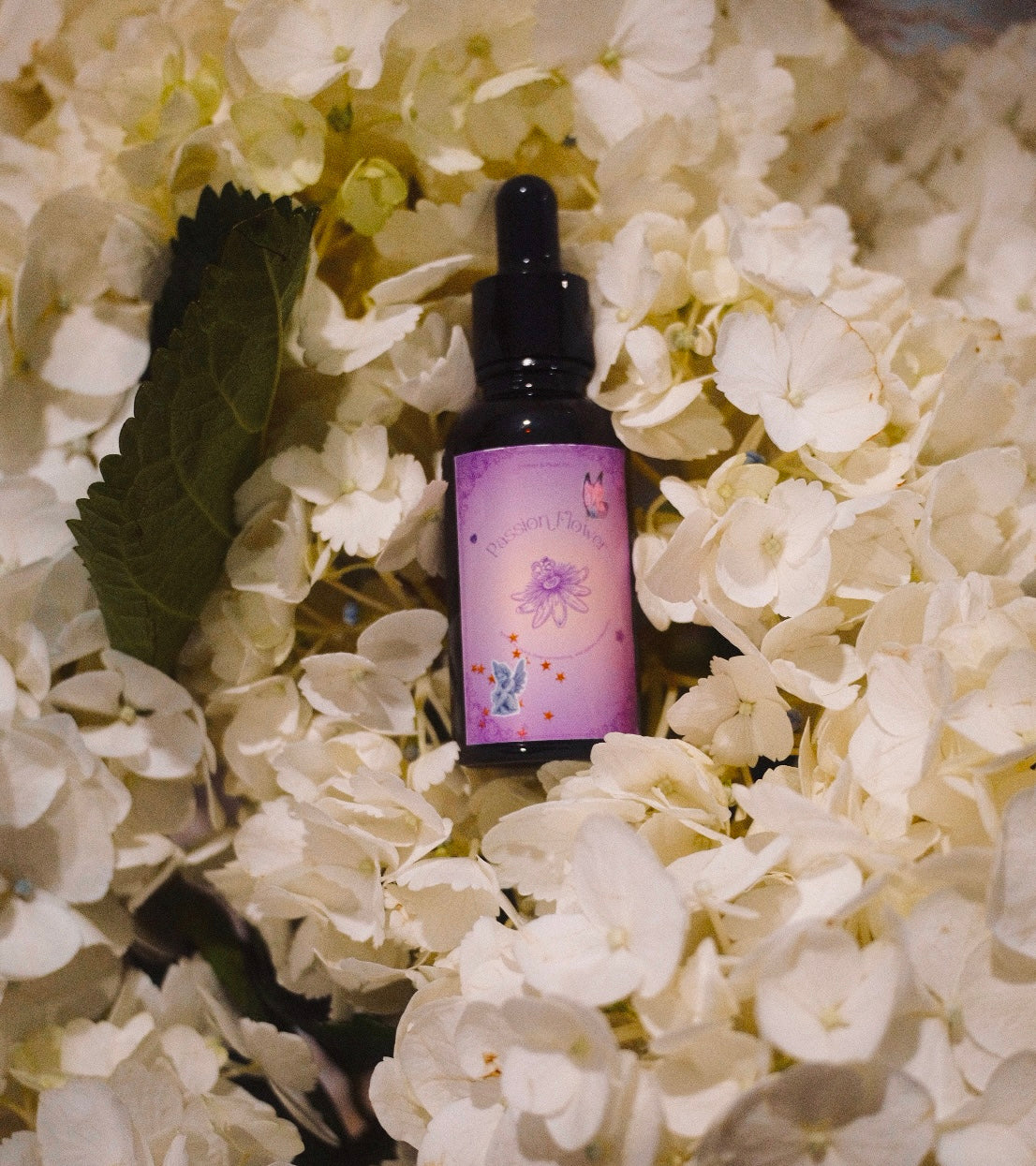 'Passion Flower' Friendship Spell Oil