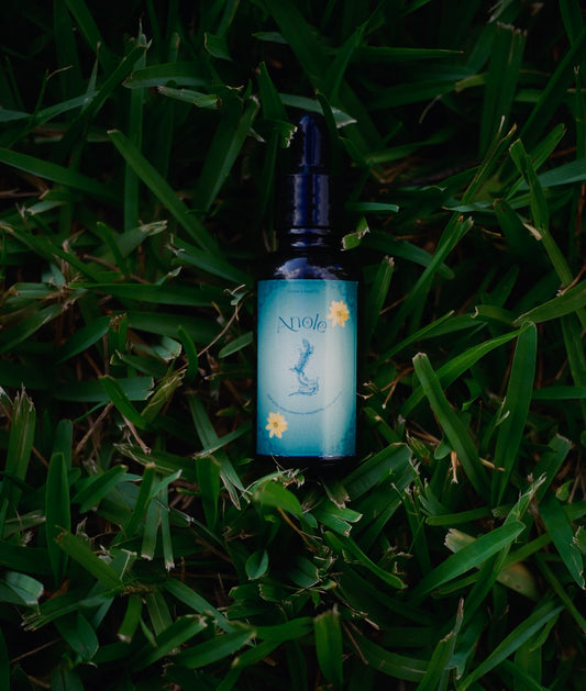 'Anole' Adaptability Spell Oil