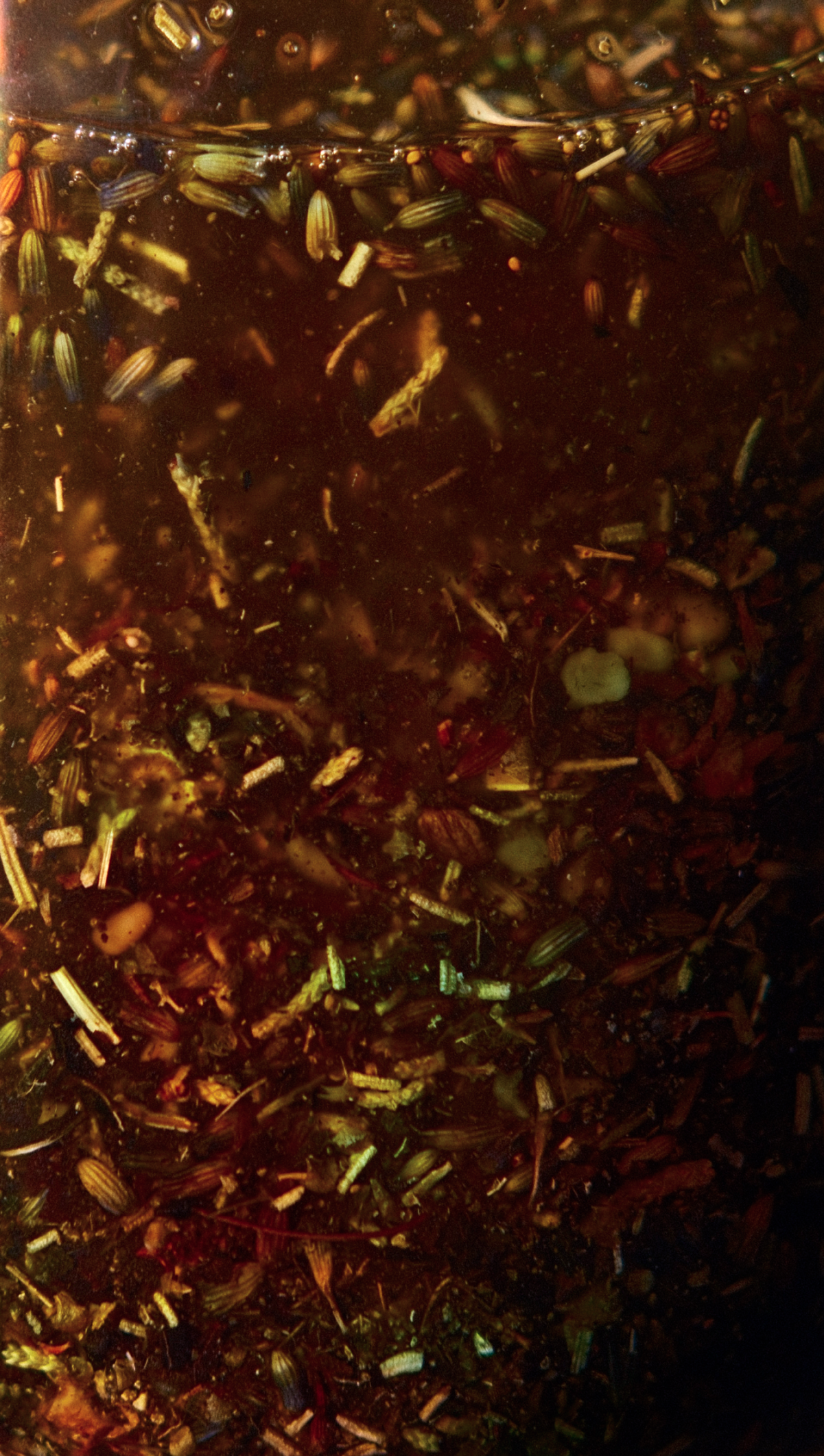 'Drakaina' Hekate Devotional Oil for Transformation